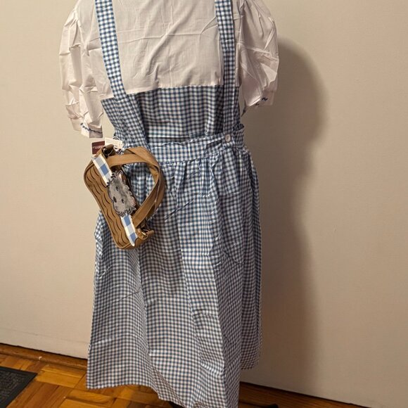 Plus Size Wizard Os Dress, Wig and Bag - Picture 4 of 7